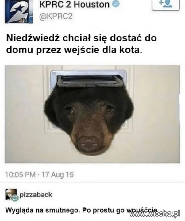 Wpuśćcie