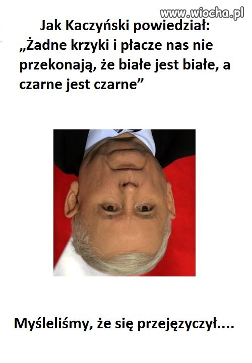    Z cyklu: Złote myśli małego naczelnika.