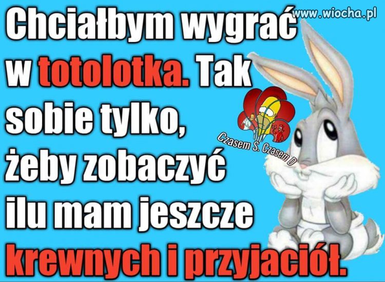 Chciałbym wygrać w totolotka...