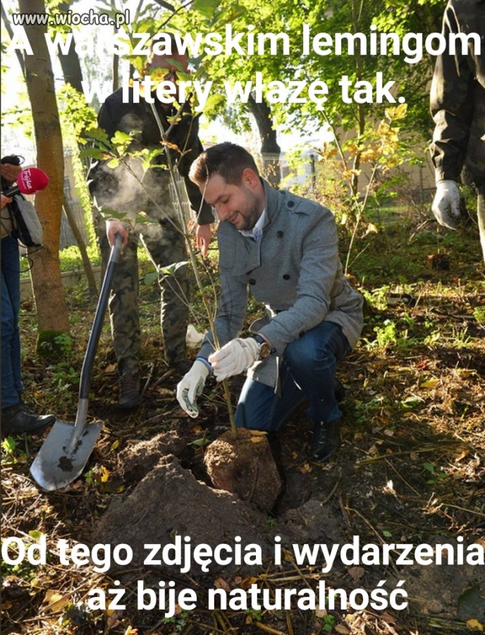 Jaki napiera