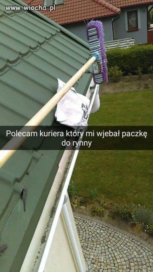 Pozdrowienia