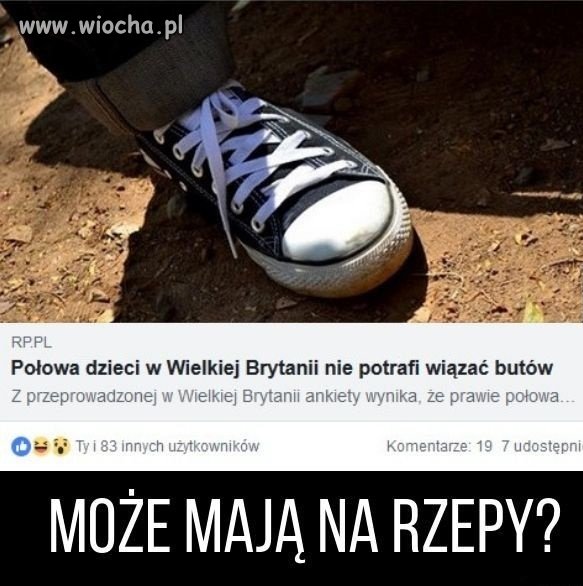 To by wiele