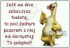 Dobra