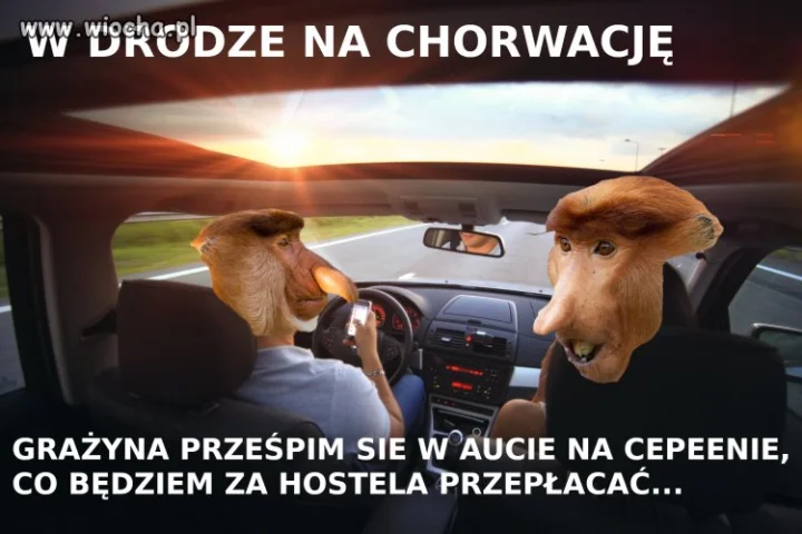 Polacy na wakacjach