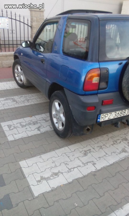 Podkarpacka kultura parkowania