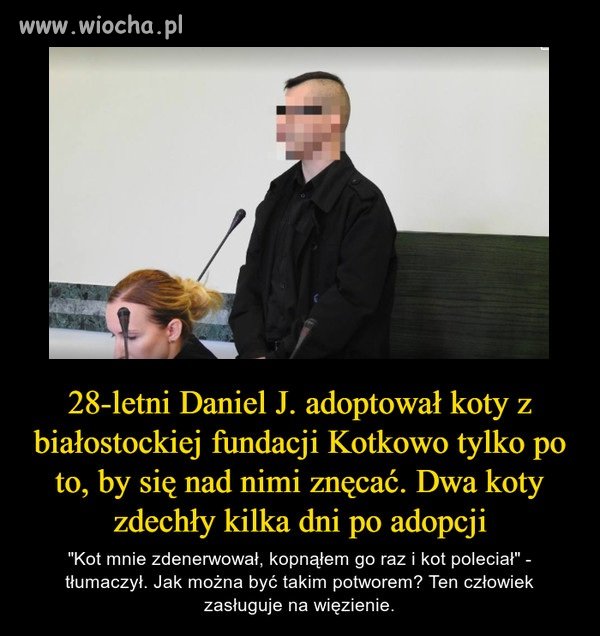 Wielbiciel