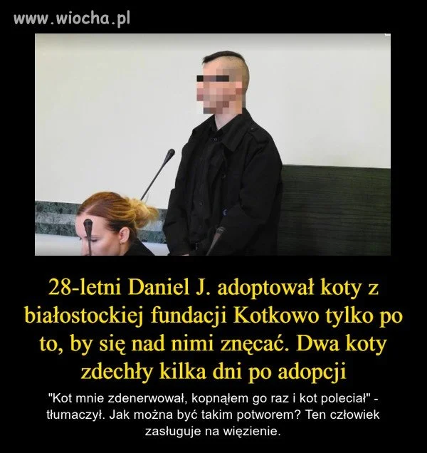 Wielbiciel