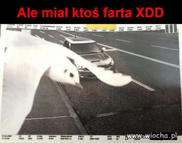 To się nazywa