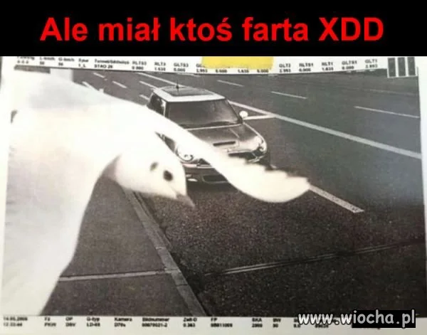 To się nazywa