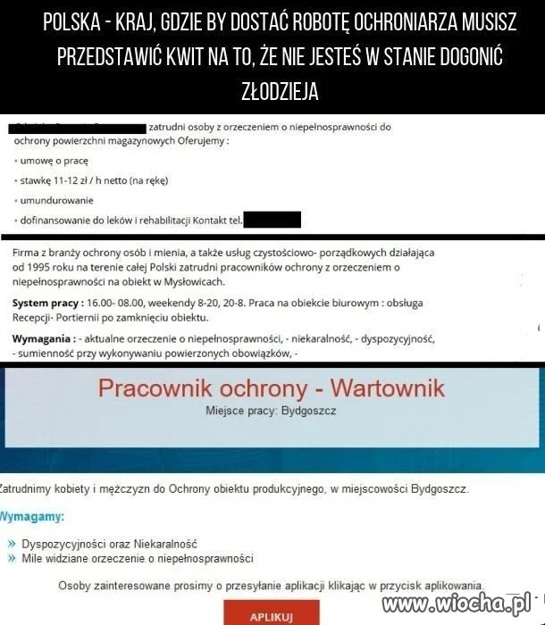 Niepełnosprawny