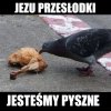 Szach-mat wegetarianie