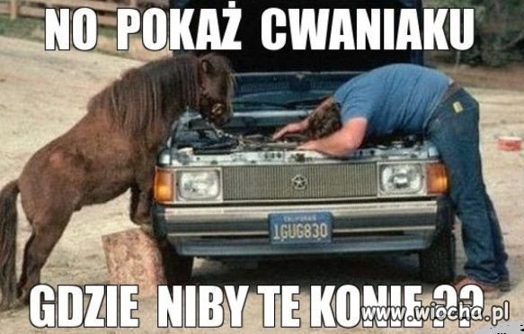 I gdzie