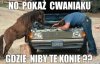 I gdzie