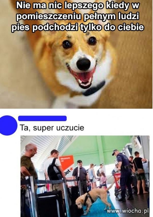 Wszystko zależy