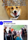 Wszystko zależy