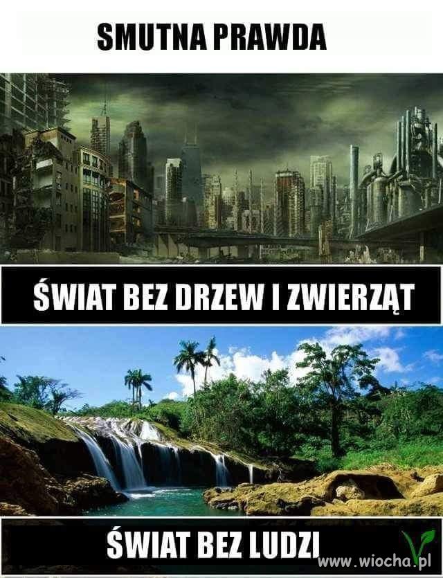 Smutne, ale prawdziwe 
