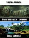 Smutne, ale prawdziwe 