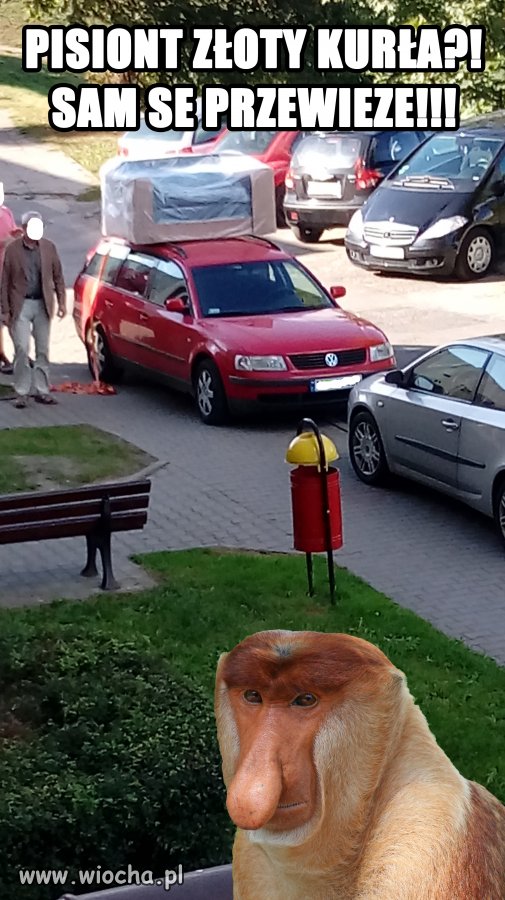 Janusz kupuje meble