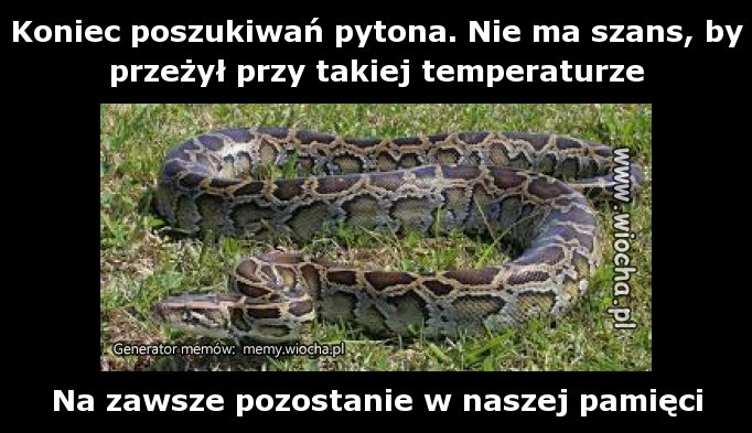 Koniec poszukiwań pytona. Nie ma szans, by przeżył