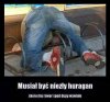 Musiał być niezły huragan
