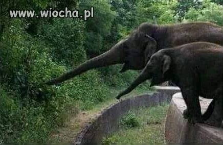 Kto mówi, że rozmiar nie ma znaczenia ... 