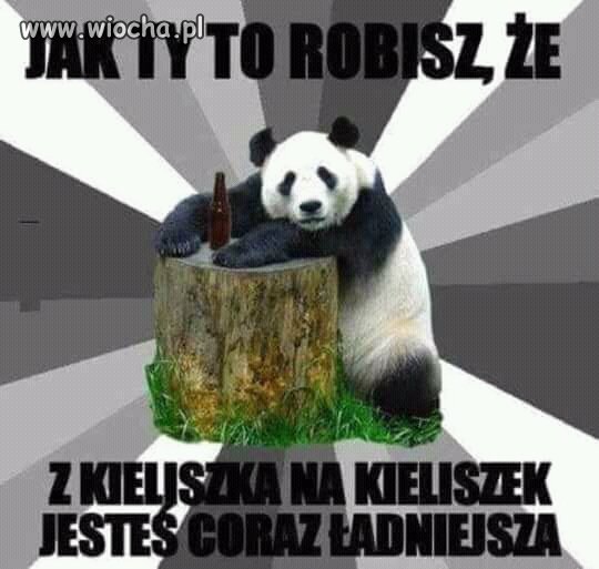 Nie wiem za co