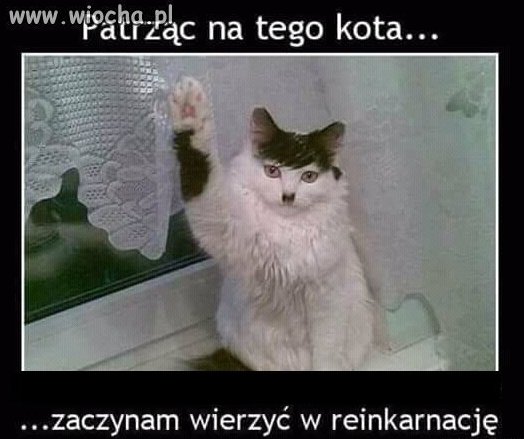 Reinkarnacja? 
