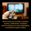 Telewizja
