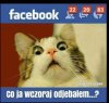 Co to