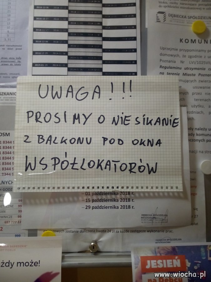 Wspaniali sąsiedzi - Poznań 