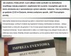 Król czy Janusz biznesu?