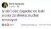 I to jest dopiero