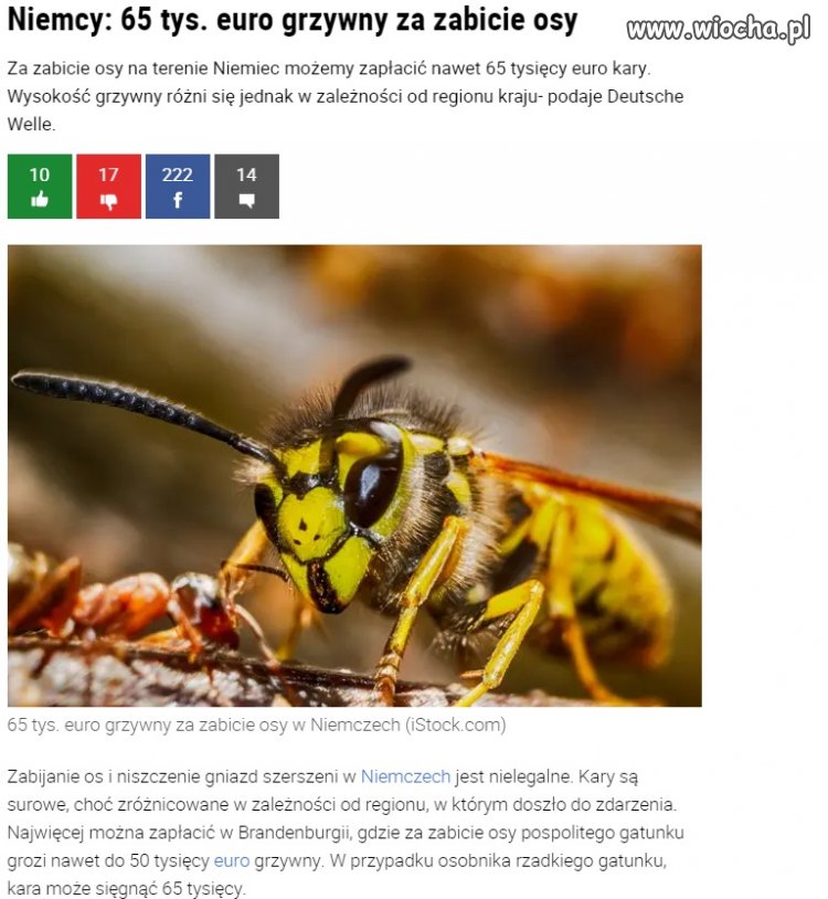 Za czlowieka prace społeczne