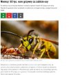 Za czlowieka prace społeczne