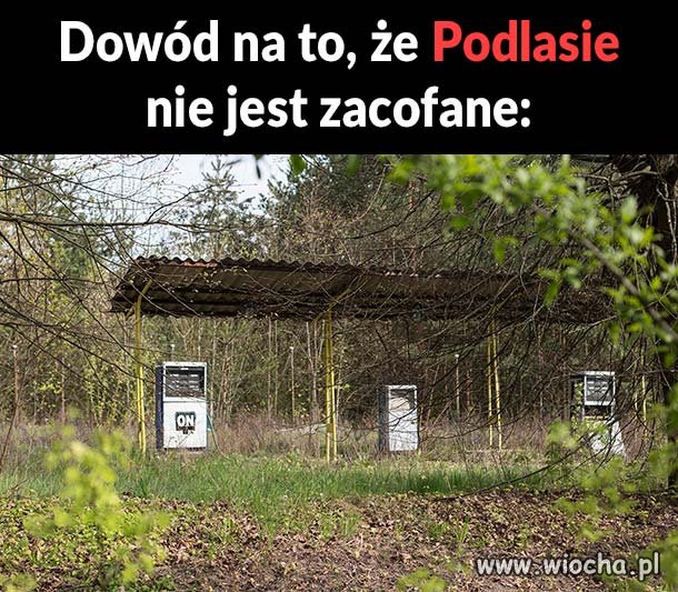 Z cyklu...