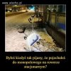 Pokaż na co cię stać 