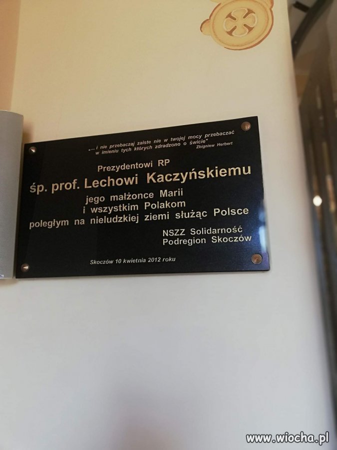 Nieludzka głupota 