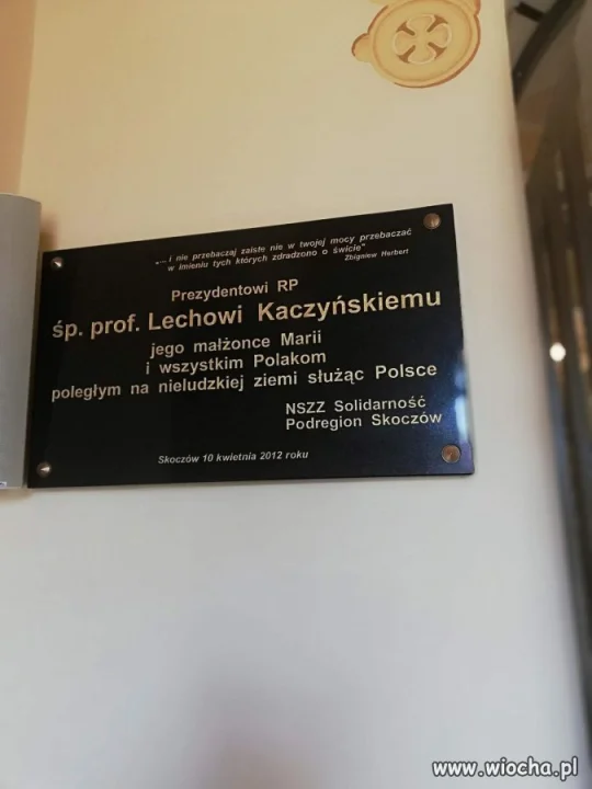 Nieludzka głupota 