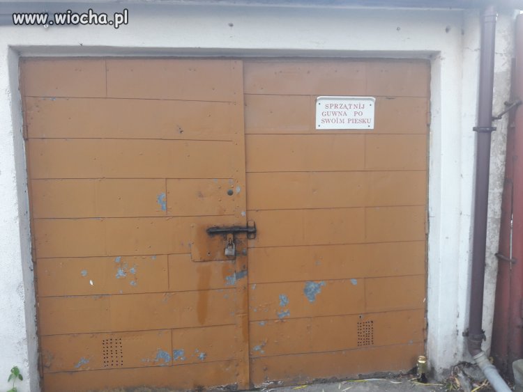Mądrzy Sąsiedzi w Gdyni