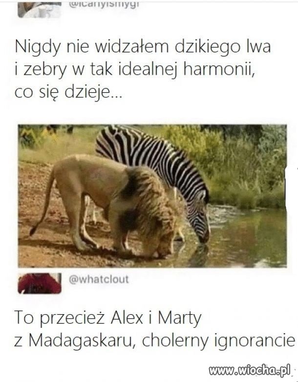 Rzeczywiście 