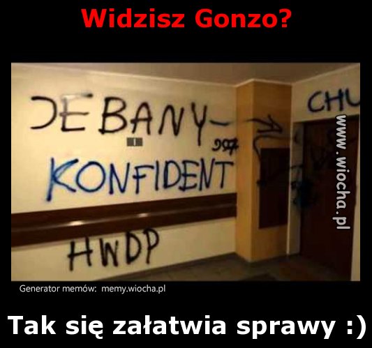 Widzisz Gonzo?