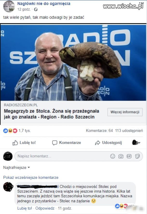 Mega grzyb ze Stolca