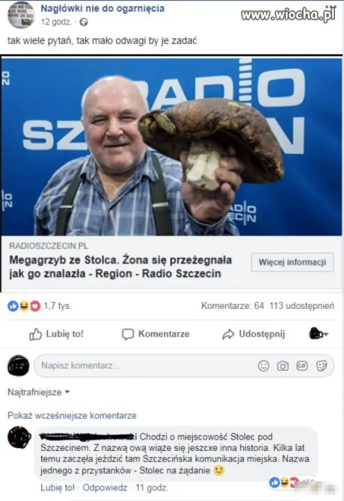 Mega grzyb ze Stolca