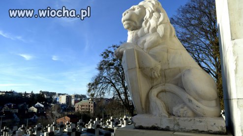 Chcą usunięcia lwów z cmentarza Orląt Lwowskich 