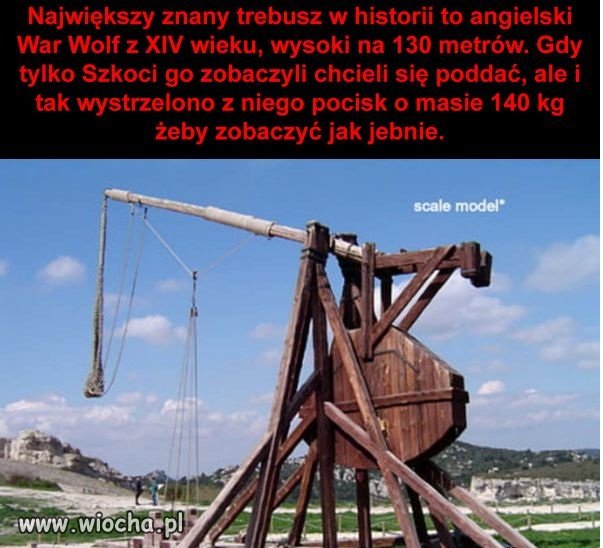 Maszyna