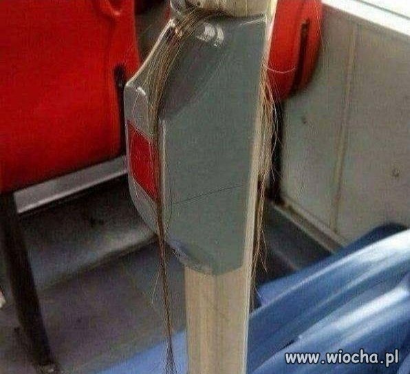 Musiało