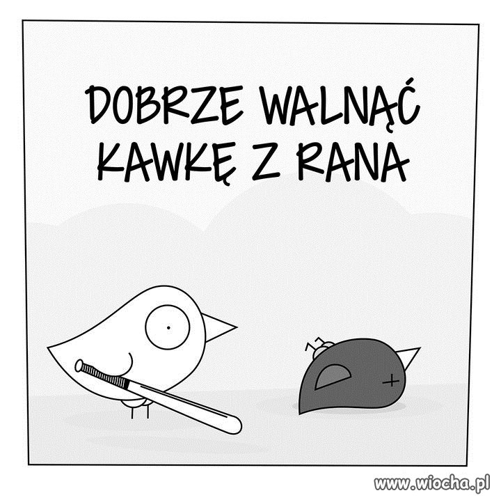 Dzień Dobry wszystkim