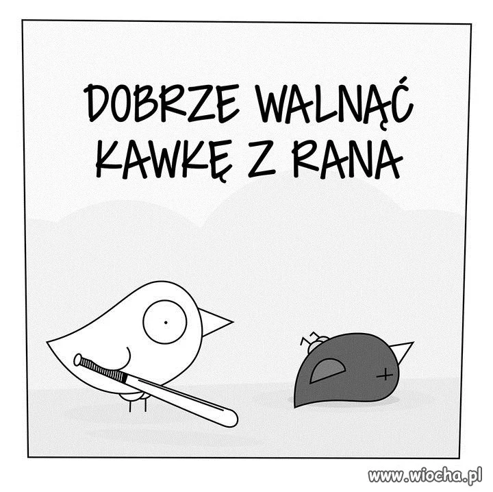 Dzień Dobry wszystkim