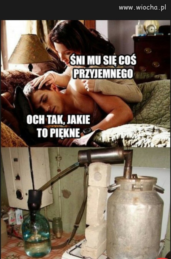 Fajny sen