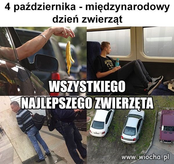 Życzenia